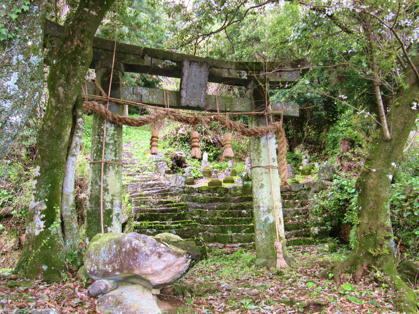 神殿入口の鳥居