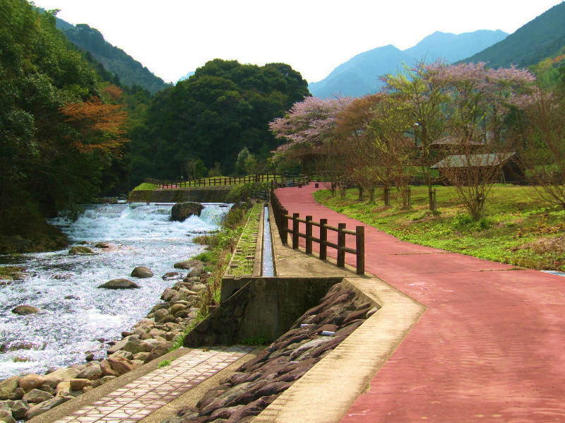 ・全景（川、散策道） 