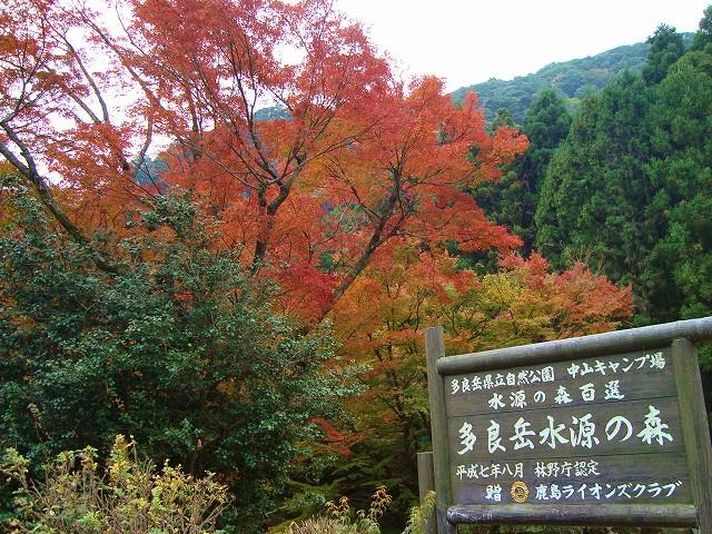 多良岳水源の森　紅葉